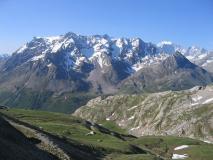 Min_Cerces-002.jpg