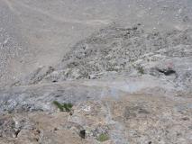 Min_Cerces-014.jpg