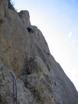 Min_Cerces-035.jpg