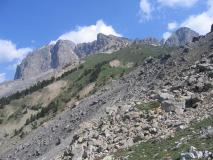 Min_Cerces-042.jpg
