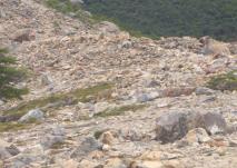Min_Cerro-Torre-018.jpg
