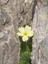 Min_Chambotte-2007-02-003.jpg
