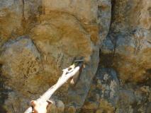 Min_Chambotte-2008-08-24-003.jpg