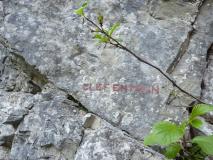 Min_Clef-En-Main-4-Eme-Dimension-001.jpg