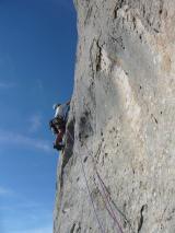 Min_Cosa-Nostra-024.jpg