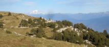 Min_Croix-Alpe-009.jpg