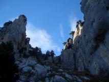 Min_Croix-Alpe-016.jpg