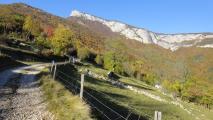 Min_Croix-Nivolet-Lutins-001.jpg