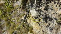 Min_Croix-Nivolet-Lutins-008.jpg