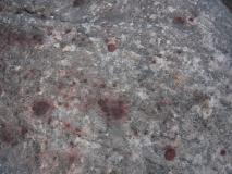 Min_Dark-Shadows-003.jpg