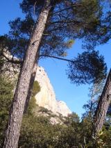 Min_Dentelles-Montmirail-002.jpg