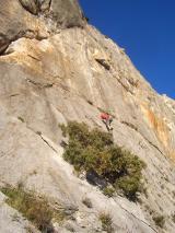 Min_Dentelles-Montmirail-012.jpg