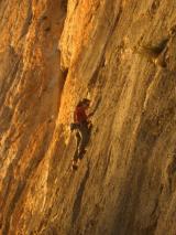 Min_Dentelles-Montmirail-029.jpg
