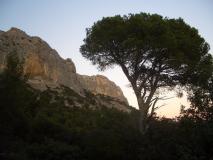 Min_Dentelles-Montmirail-035.jpg