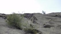 Min_Disperazione-023.jpg