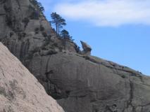 Min_Dos-Elephant-016.jpg