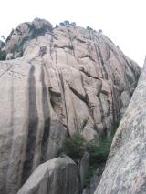 Min_Dos-Elephant-021.jpg