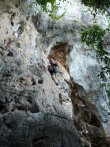 Min_Eagle-Wall-005.jpg