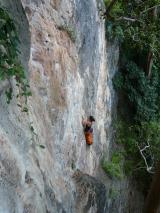 Min_Eagle-Wall-007.jpg