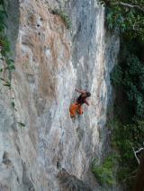 Min_Eagle-Wall-009.jpg