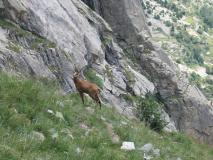 Min_Ecrins-024.jpg