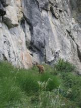 Min_Ecrins-025.jpg