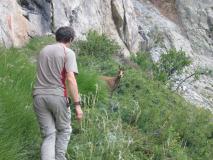 Min_Ecrins-028.jpg