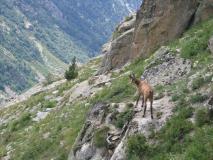 Min_Ecrins-031.jpg