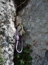 Min_Einstein-005.jpg
