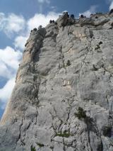 Min_Einstein-024.jpg