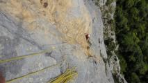 Min_Erection-Pestilentielle-005.jpg