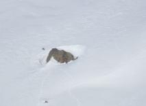 Min_Escombailles-007.jpg