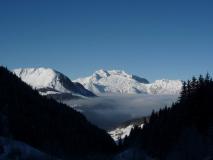 Min_Etale-Coillu-Chauchefoin-001.jpg