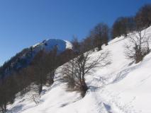 Min_Galoppaz-006.jpg