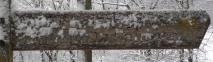 Min_Galoppaz-02-2010-001.jpg