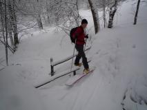 Min_Galoppaz-02-2010-002.jpg