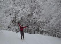Min_Galoppaz-02-2010-003.jpg