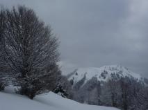 Min_Galoppaz-02-2010-004.jpg