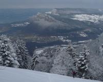 Min_Galoppaz-02-2010-005.jpg