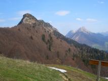 Min_Galoppaz-Printemps-002.jpg