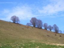 Min_Galoppaz-Printemps-004.jpg