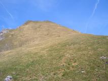 Min_Galoppaz-Printemps-009.jpg
