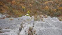 Min_Gollorama-Super-Lac-005.jpg