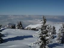 Min_Granier-Tencovaz-014.jpg