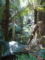 Min_Hidden-World-004.jpg