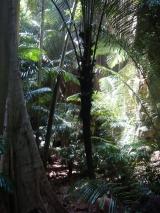 Min_Hidden-World-005.jpg