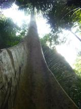 Min_Hidden-World-006.jpg