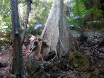 Min_Hidden-World-007.jpg
