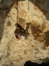 Min_Integrale-Croulants-038.jpg