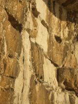 Min_Integrale-Croulants-040.jpg